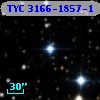 TYC 3166-1857-1