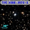 TYC 3166-1871-1
