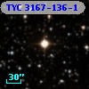 TYC 3167-136-1