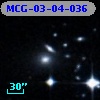 MCG-03-04-036