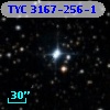 TYC 3167-256-1