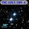 TYC 3167-288-1