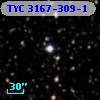 TYC 3167-309-1