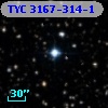 TYC 3167-314-1