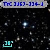 TYC 3167-334-1