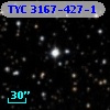 TYC 3167-427-1