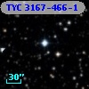 TYC 3167-466-1