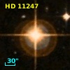 HD  11247