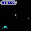 WT 1237