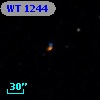 WT 1244