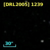 [DRL2005]  1239