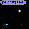 [DRL2005]  1000