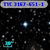 TYC 3167-651-1