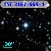 TYC 3167-668-1