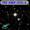 TYC 3167-723-1