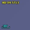 BD-09  5713