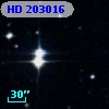 HD 203016