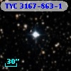 TYC 3167-863-1