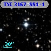 TYC 3167-881-1