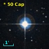*  50 Cap