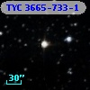 TYC 3665-733-1