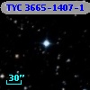 TYC 3665-1407-1