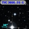TYC 3666-31-1