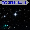 TYC 3666-111-1