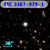 TYC 3167-979-1