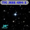 TYC 3666-604-1