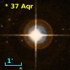 *  37 Aqr