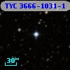 TYC 3666-1031-1