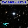 TYC 3666-1137-1