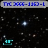 TYC 3666-1163-1