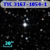 TYC 3167-1054-1