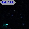 PHL   239