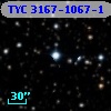 TYC 3167-1067-1