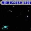 WISH B2218.9-1101B