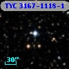 TYC 3167-1118-1