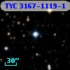TYC 3167-1119-1