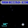WISH B2229.9-1230