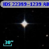 IDS 22389-1239 AB