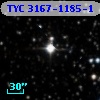 TYC 3167-1185-1