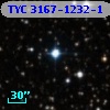 TYC 3167-1232-1