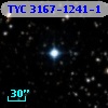 TYC 3167-1241-1