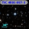 TYC 4016-667-1