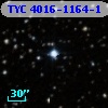 TYC 4016-1164-1