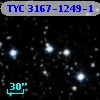 TYC 3167-1249-1