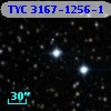 TYC 3167-1256-1