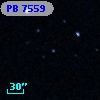 PB  7559